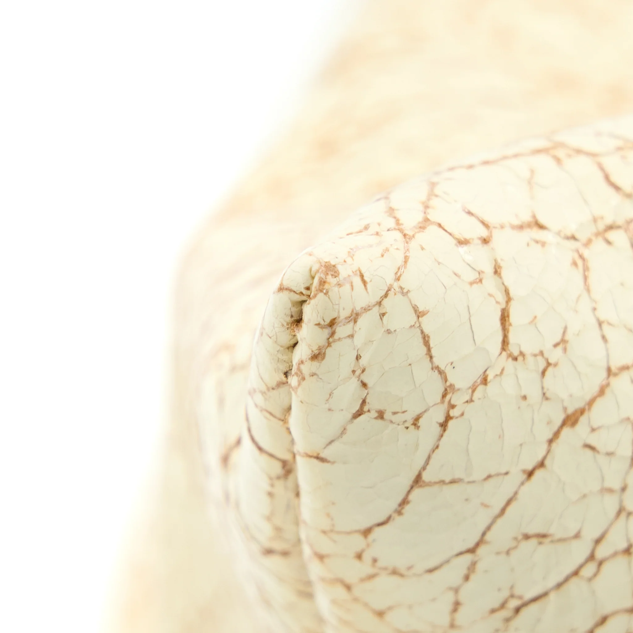 Bottege Veneta The Twist Large Bag Crème GHW - Image 8