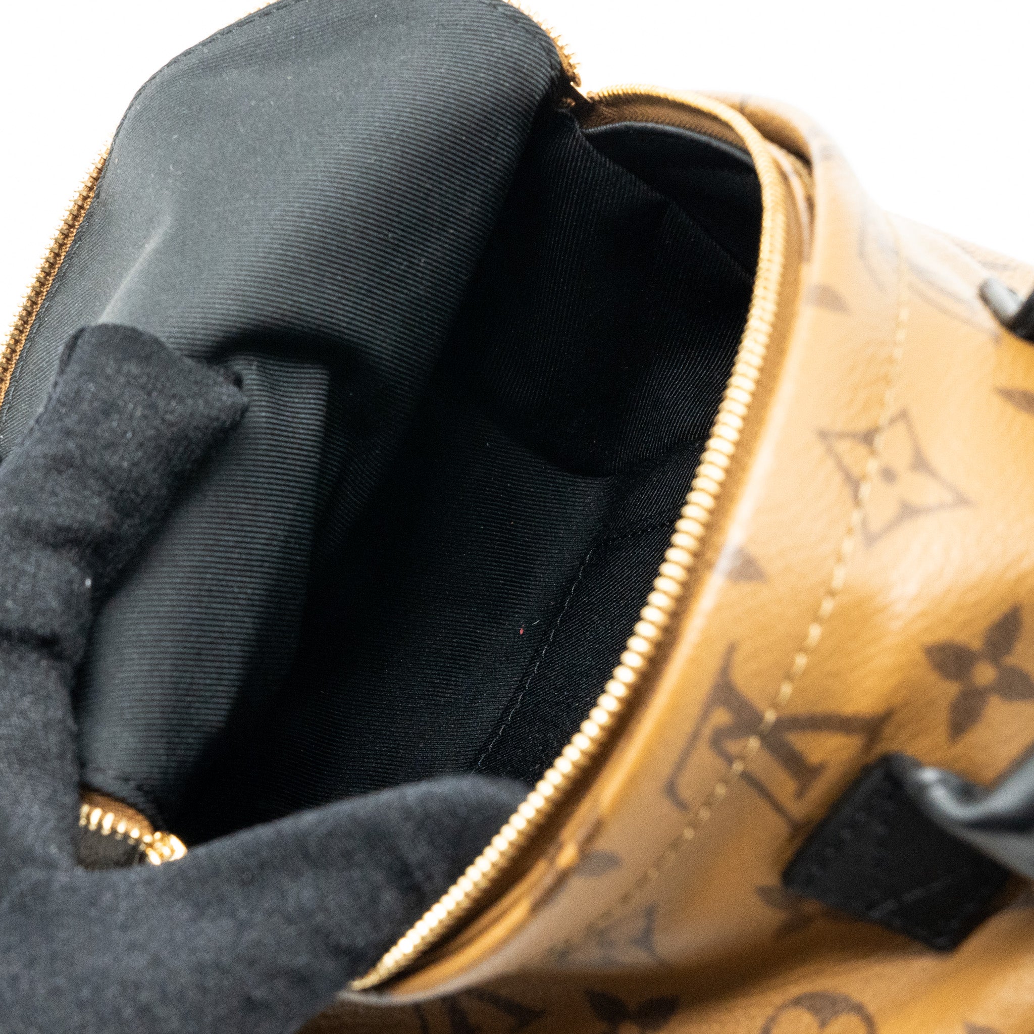 Louis Vuitton Mini Palm Spring Backpack Reverse Monogram Canvas GHW - Image 11